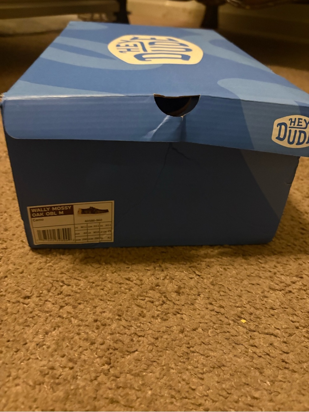 Hey Dude Blue Shoe Box